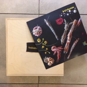 Scatola gastronomica "IL CRUDO" - kn - immagine 5