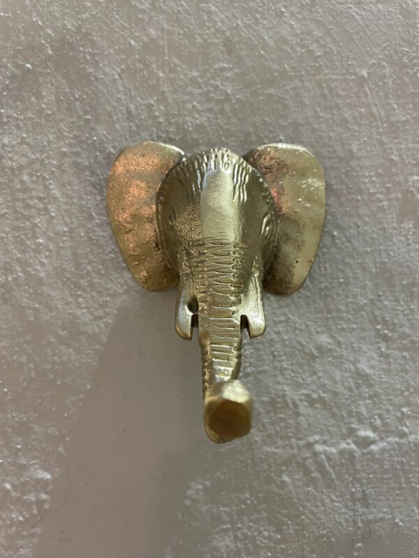 Appendino Ottone Elefante